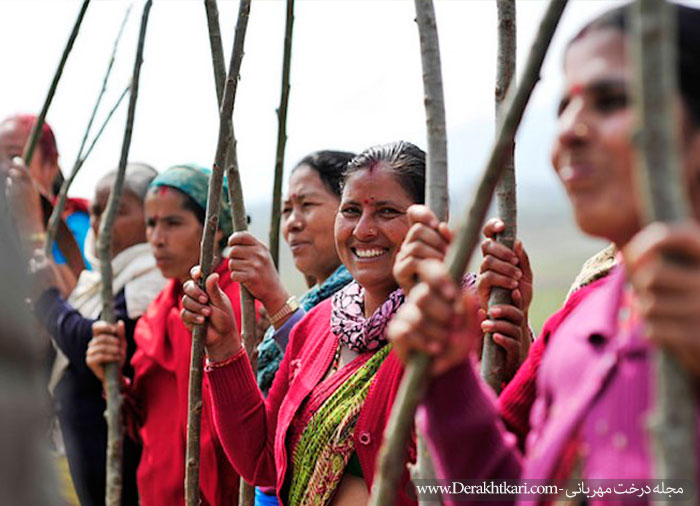 کاشت ۵۰ میلیون درخت در ۲۴ ساعت در هند