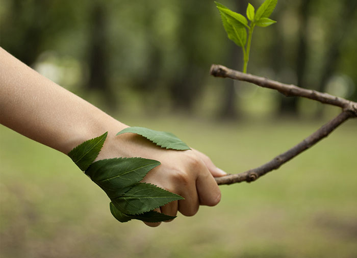 کمپین درختکاری دست در دست زمین